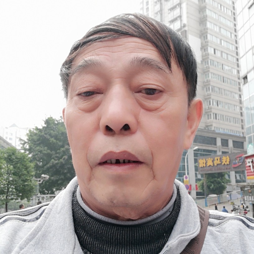 优美停止猫咪的照片