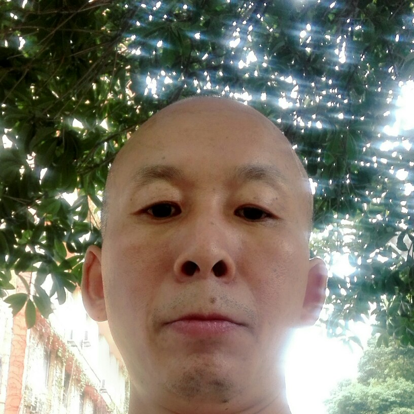 小鸽子默默的照片