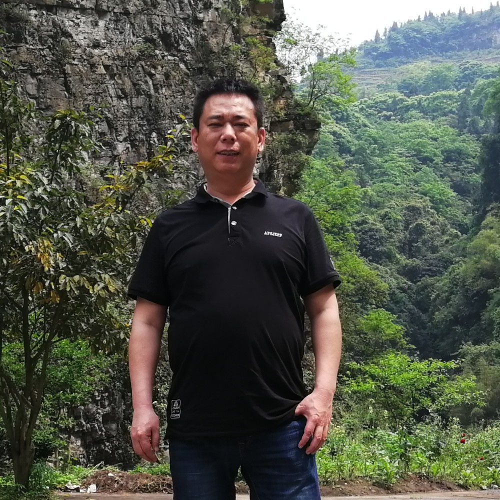 蓝莓闻淡淡的照片