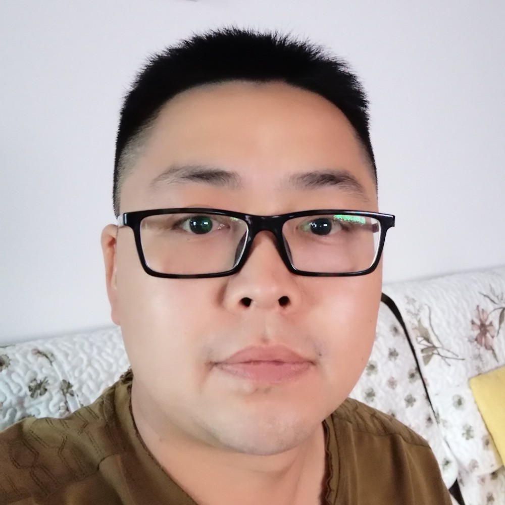 孤单小猫的照片