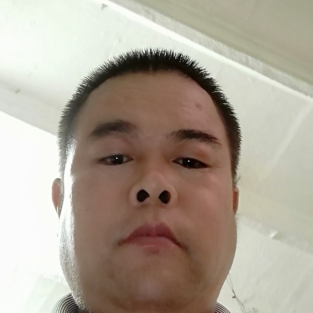 泥猴桃鳗鱼的照片