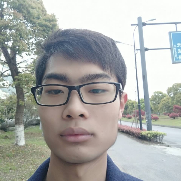 剪影端庄的照片