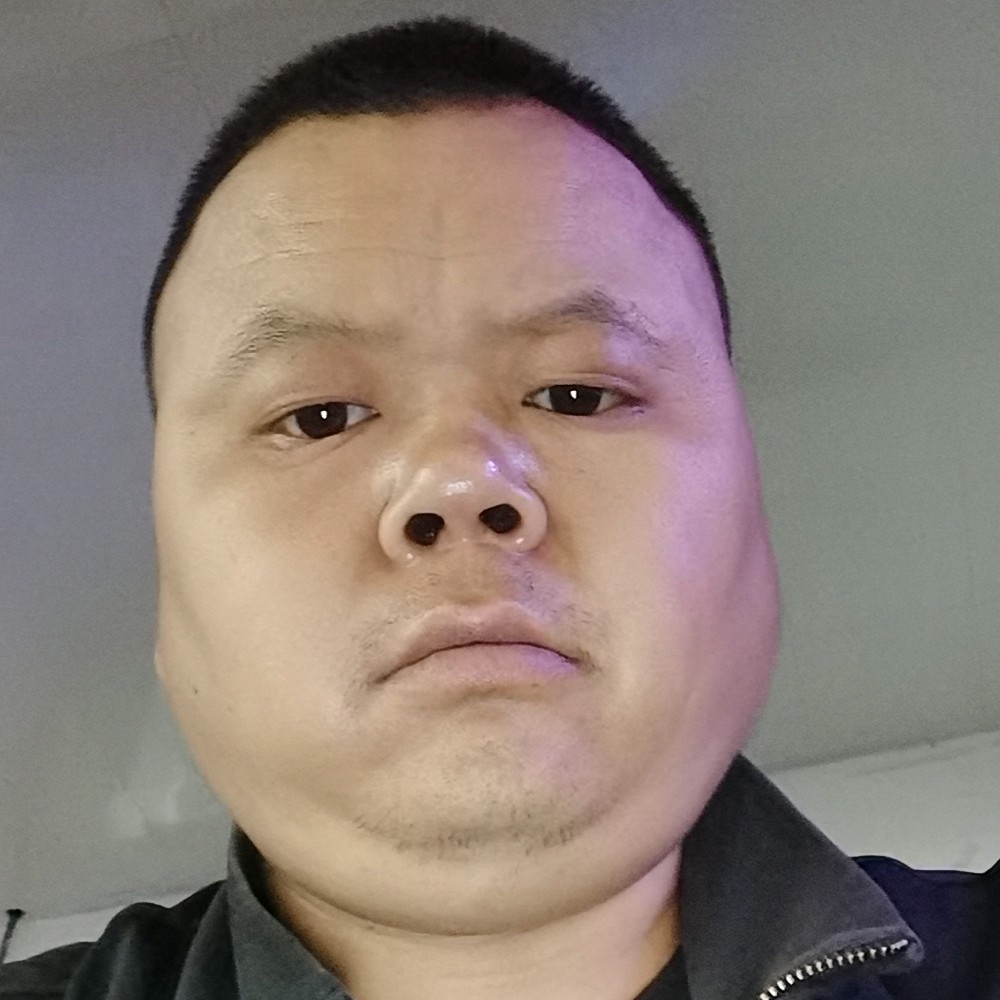 可爱停止小蜜蜂的照片