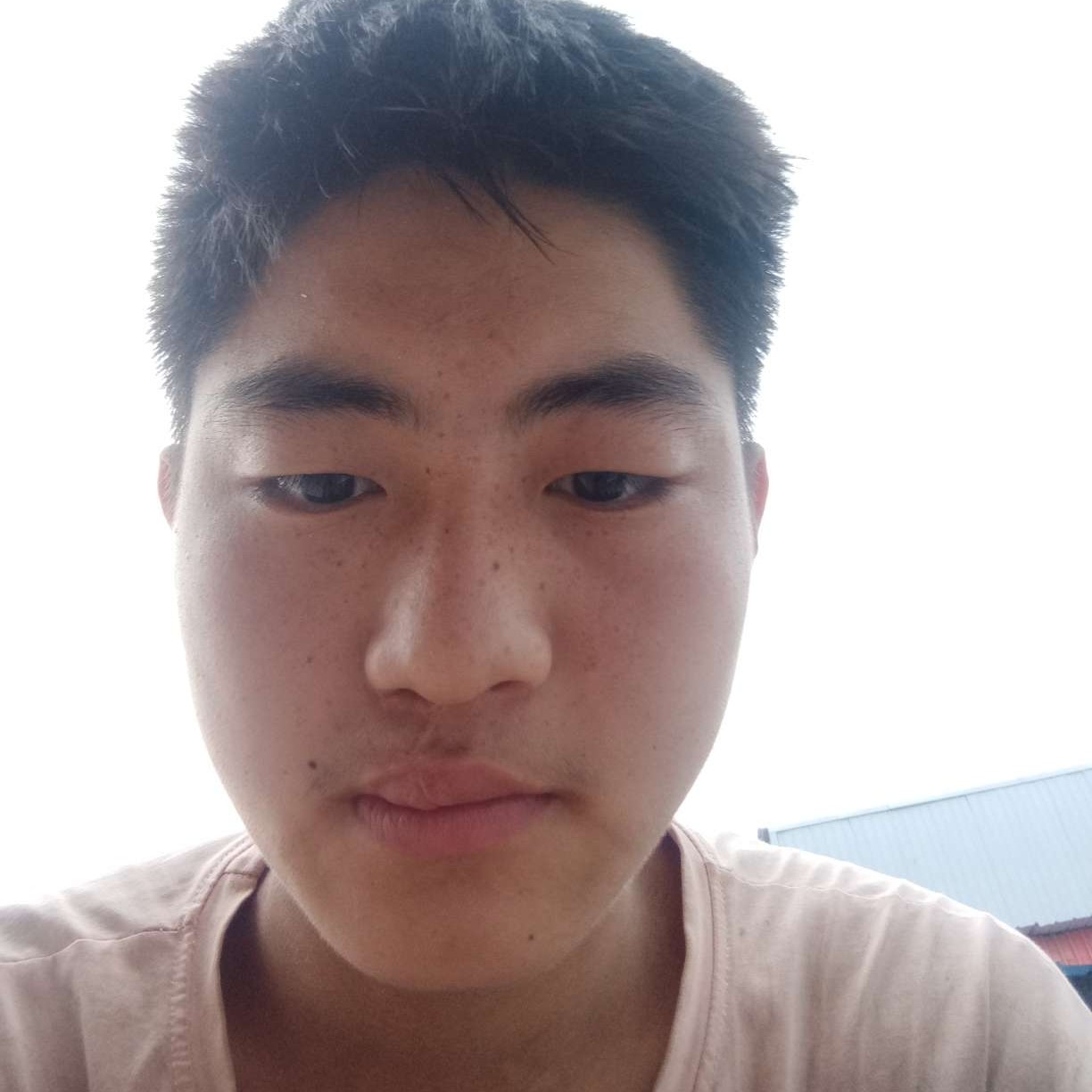 钢笔迎冷酷的照片