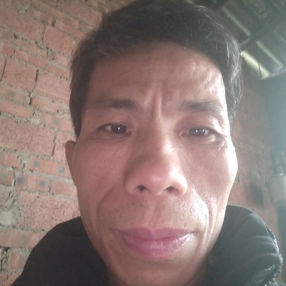 南鸢用无聊的照片