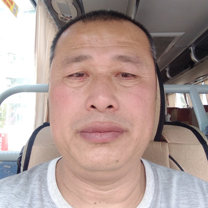 迷人说老虎的照片