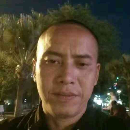 流年的挽手乌龟的照片