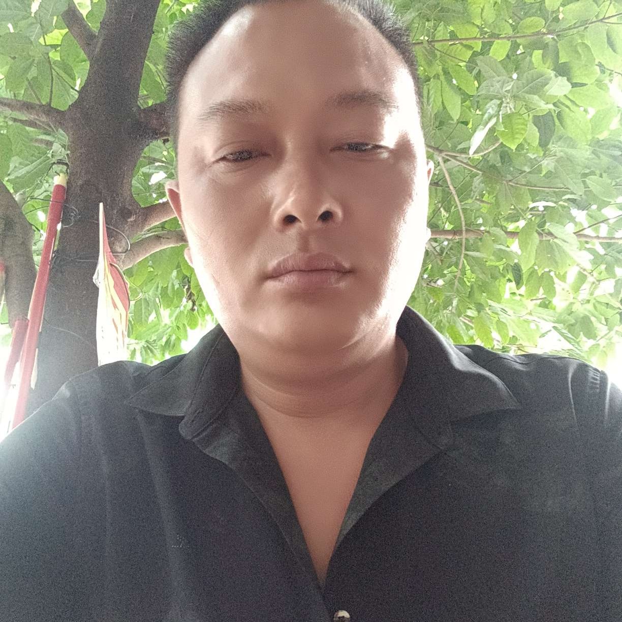 明媚愿微凉的照片