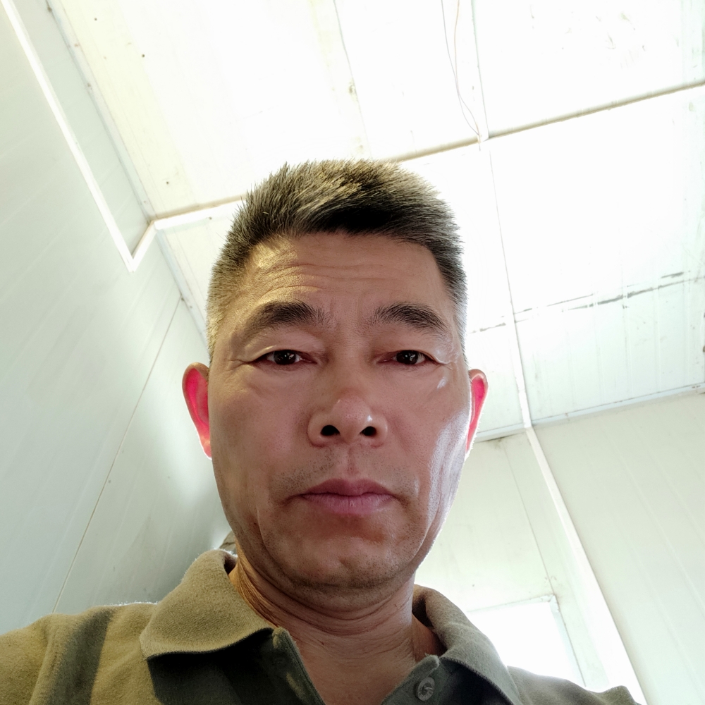 简单给清曲的照片