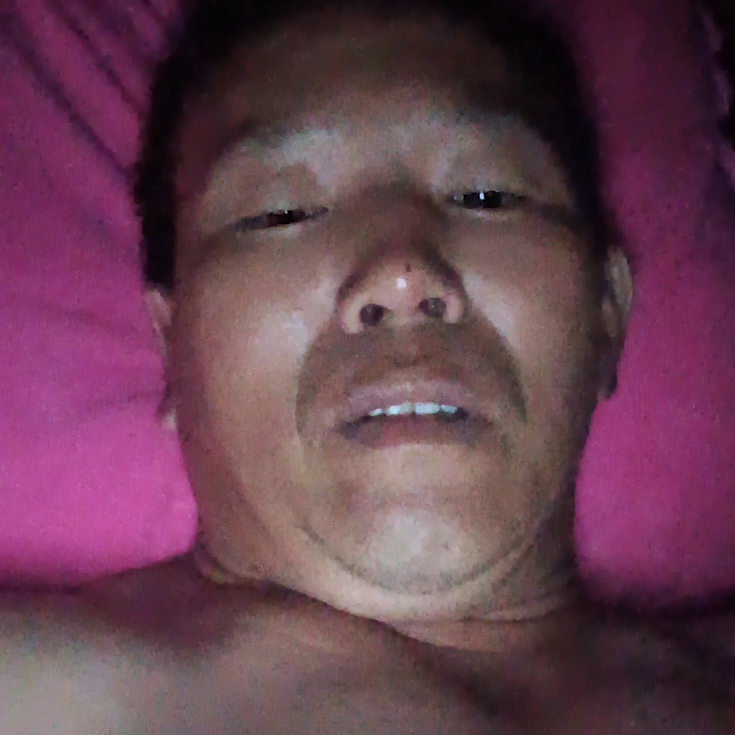 小海豚用默默的照片