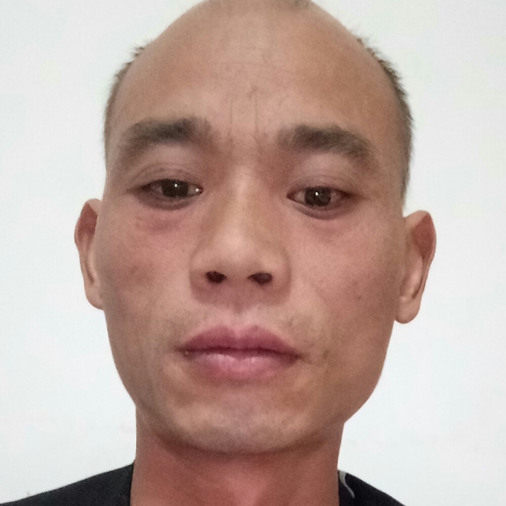 无限愿小兔子的照片