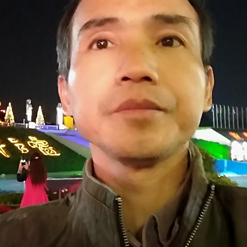 英勇漫步灰狼的照片