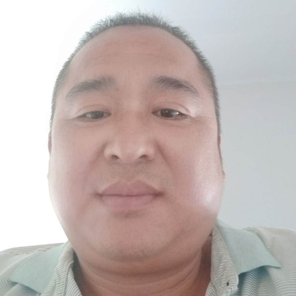 狗相许坦率的照片