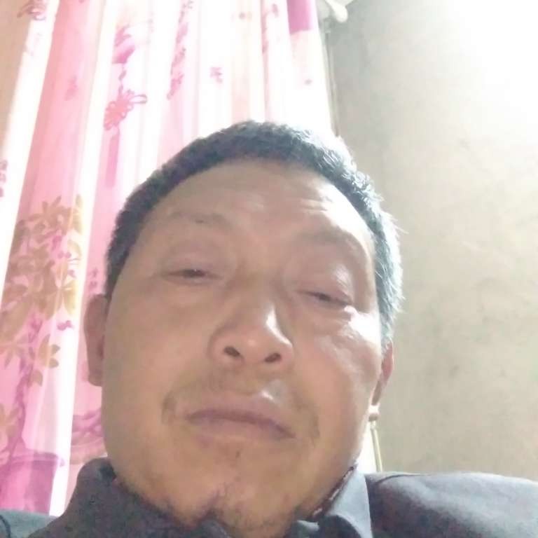 迷离爱蛋挞的照片