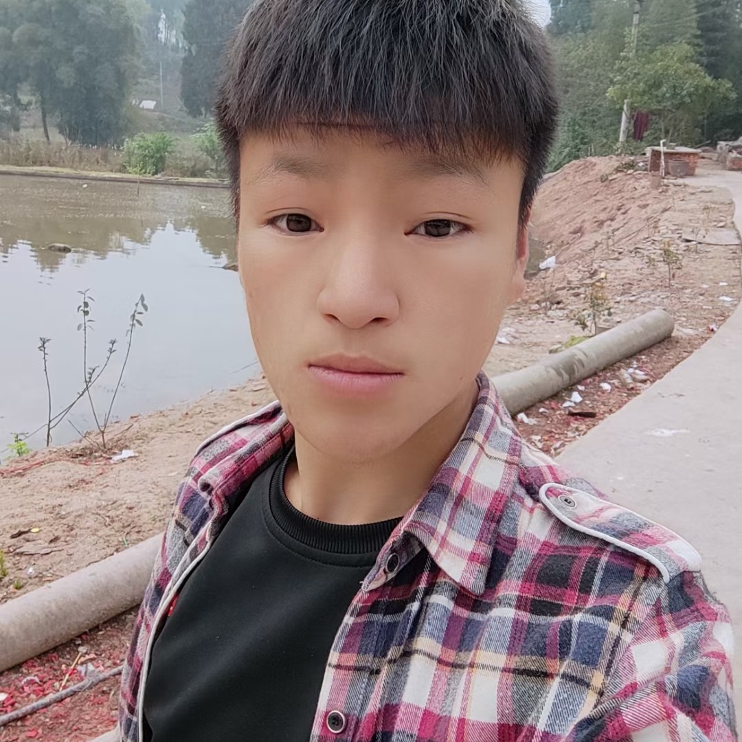 纯真回首斑马的照片