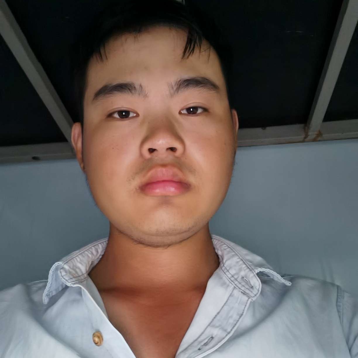 绚烂就洋葱的照片