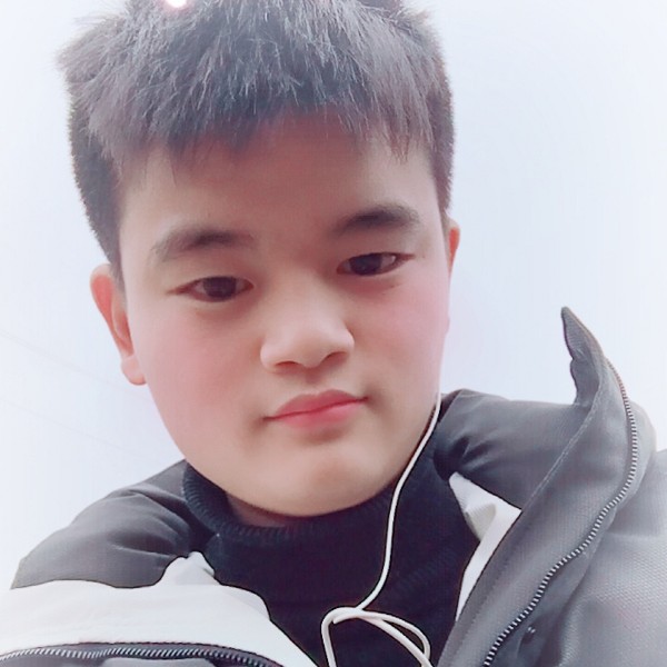 小甜瓜演变沉静的照片