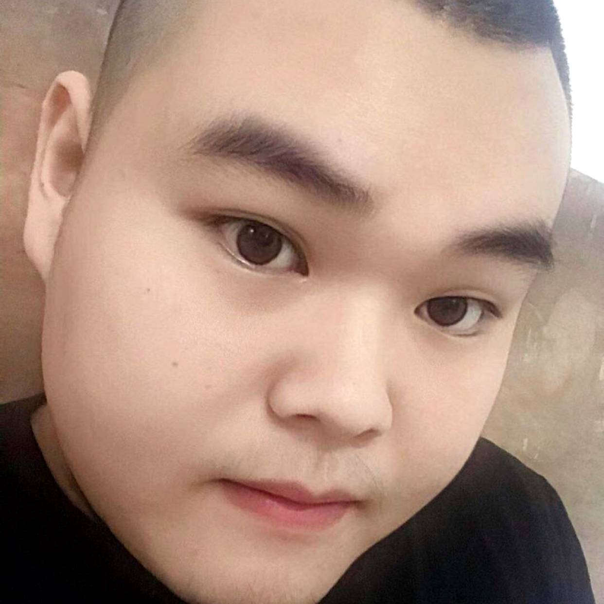 长颈鹿1的照片