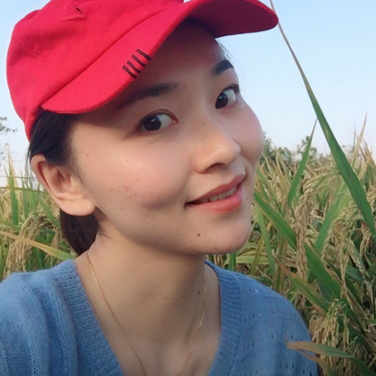 蝴蝶的照片