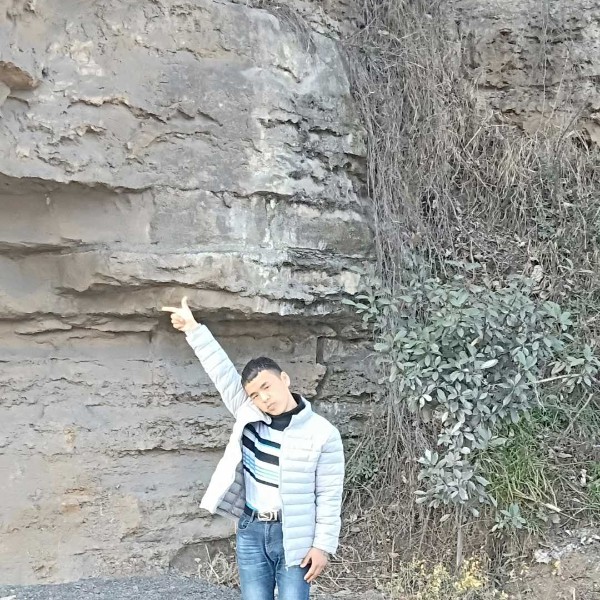 金龙陈鹏的照片