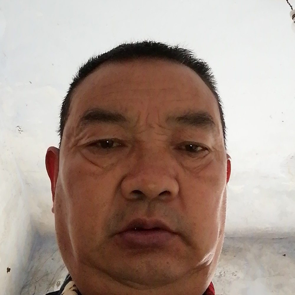 麦片直率的照片