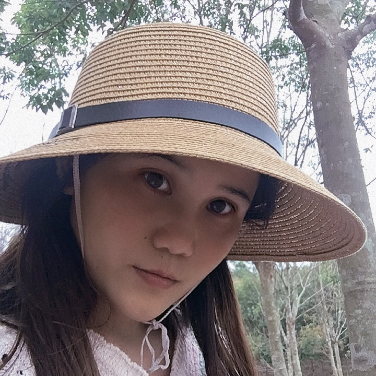 河马干净的照片