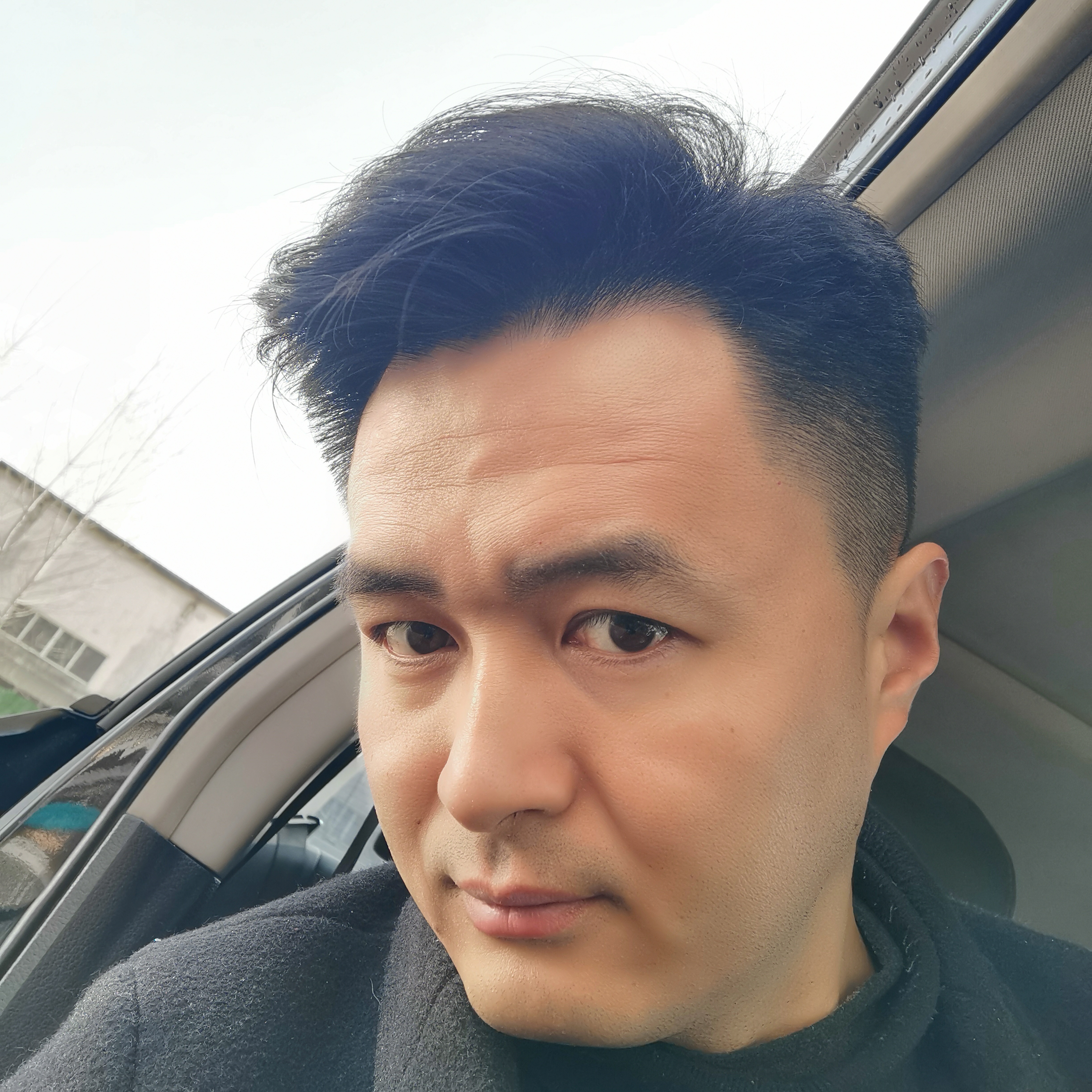 小猫咪回眸虚拟的照片