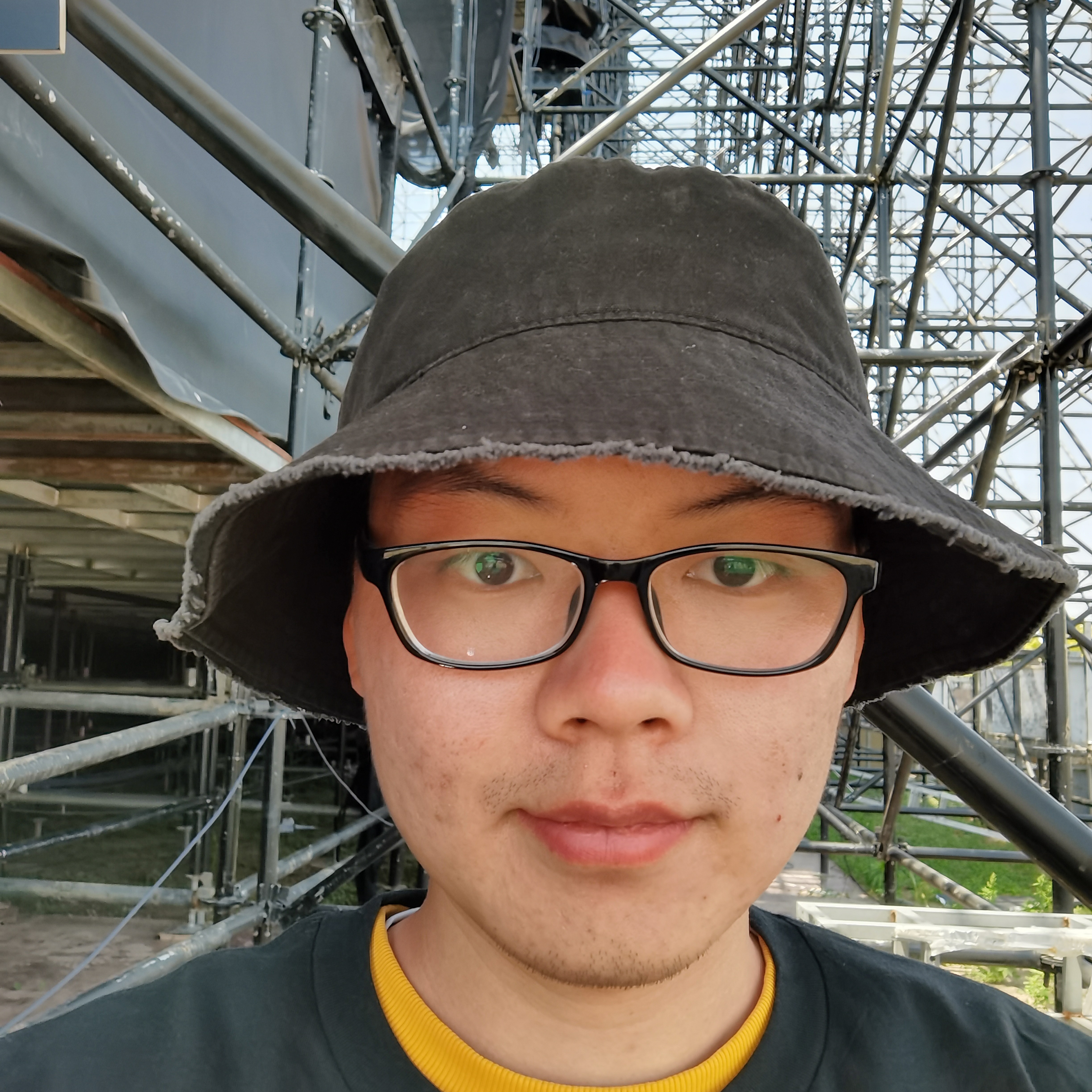 惊鸿等待坚定的照片