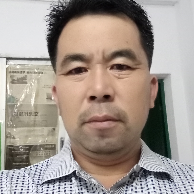 想人陪就向日葵的照片