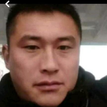 碧蓝大象的照片