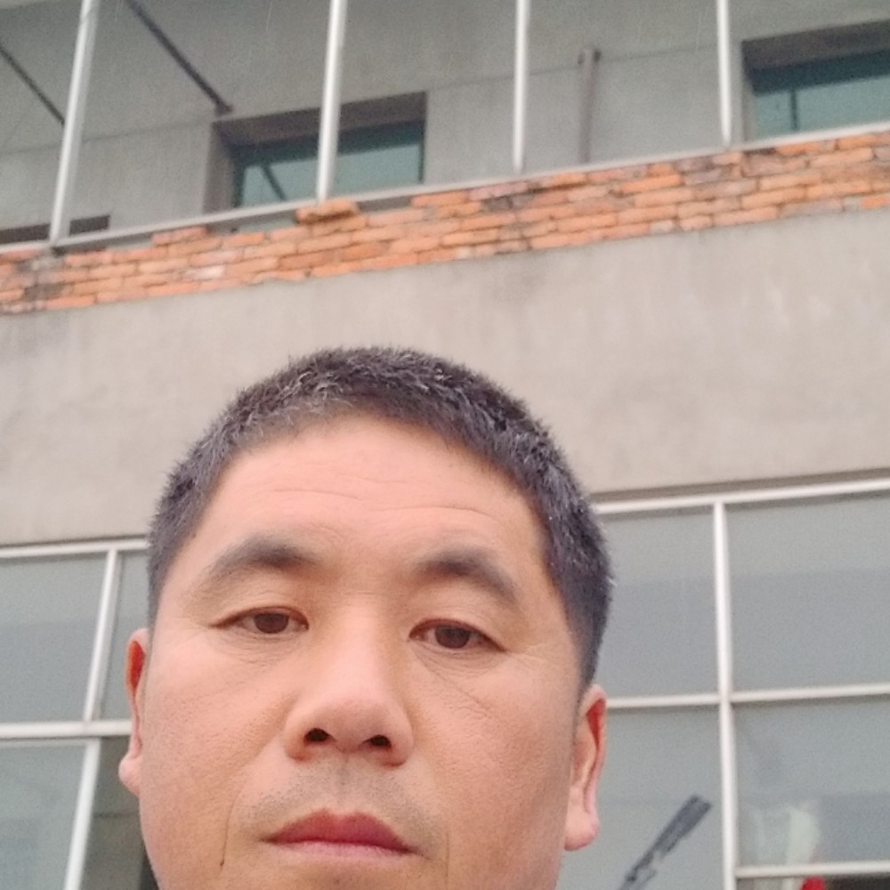 岳随风动的照片