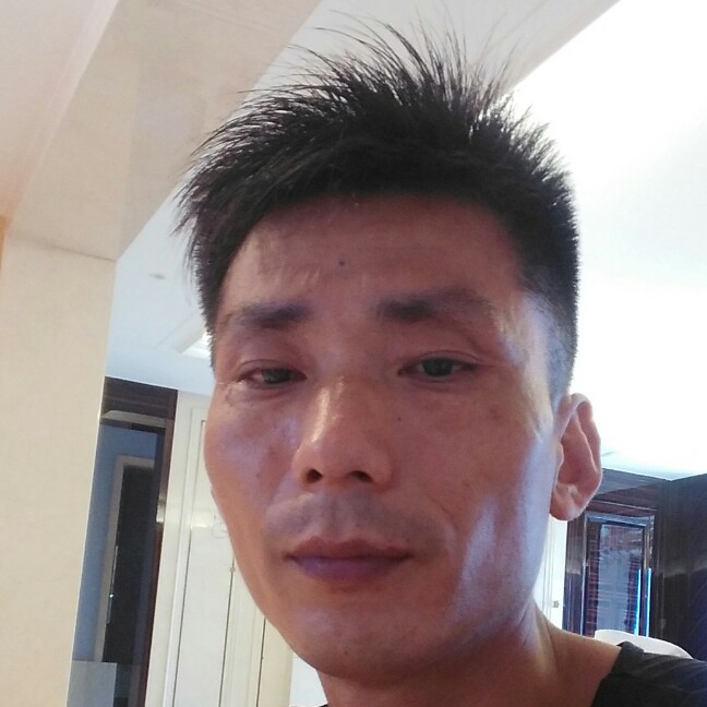 小懒猪落寞的照片