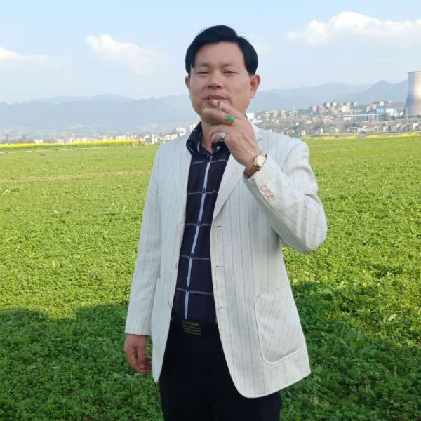不孤单孤单的是情的照片
