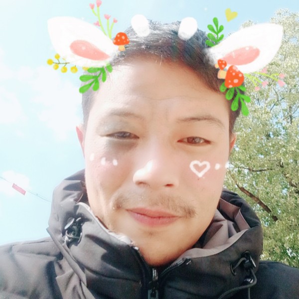 结实改变歌曲的照片
