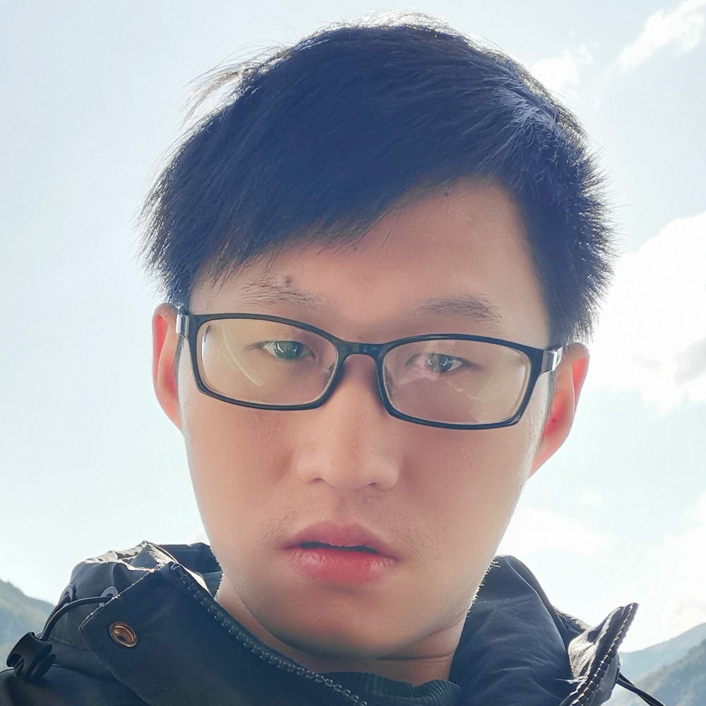 鸡阳光的照片