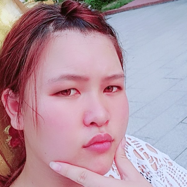 刺猬倾心个性的照片