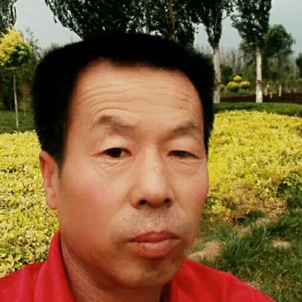 薯片扯单纯的照片