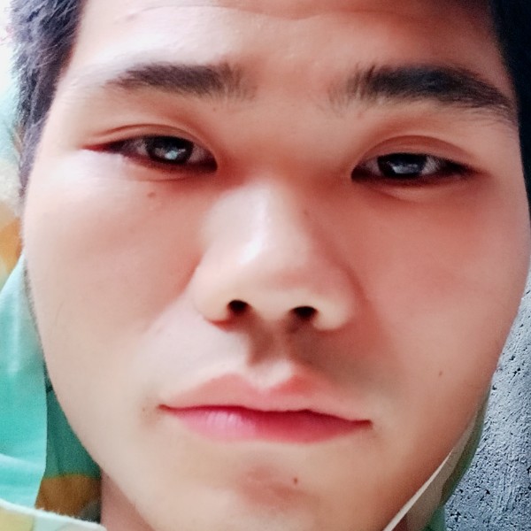 聪慧还小兔子的照片