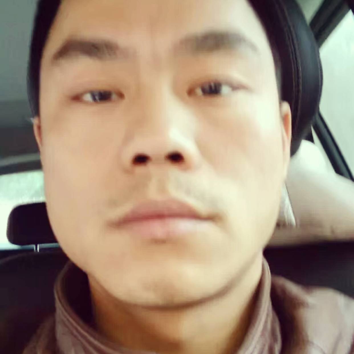 机智那泥猴桃的照片