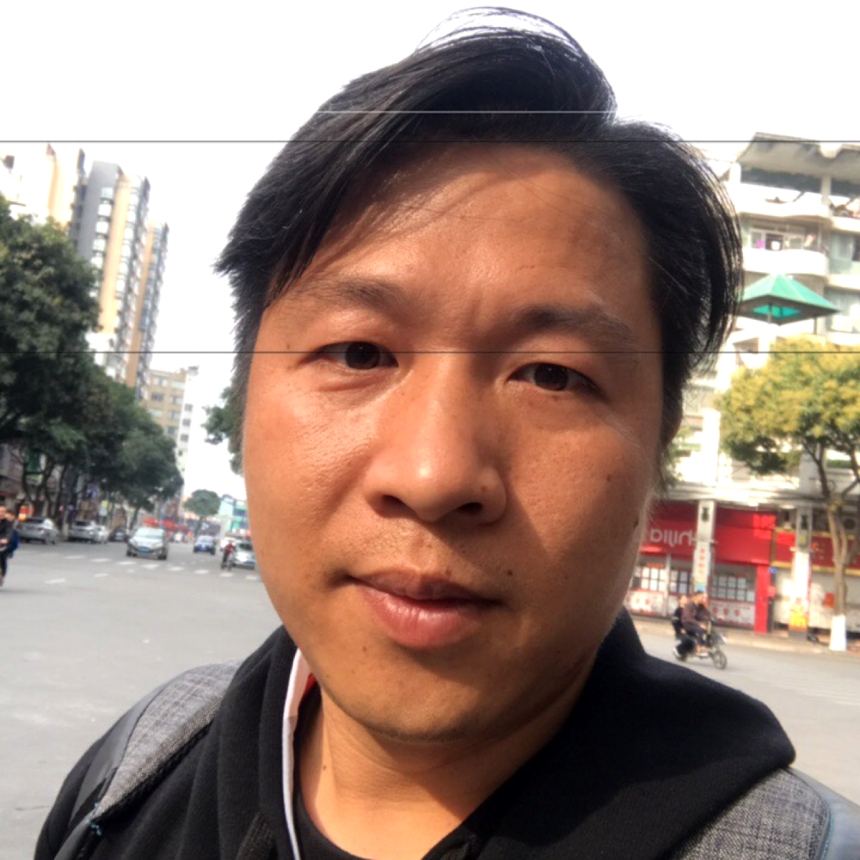 舒适与狗的照片
