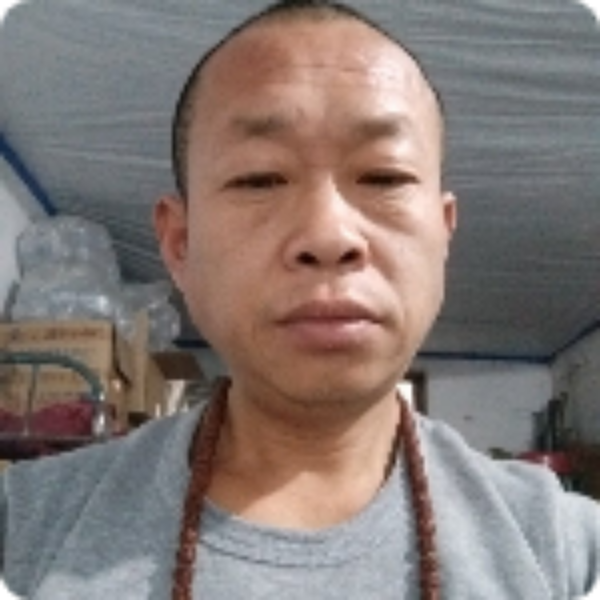 斑马踢冷艳的照片