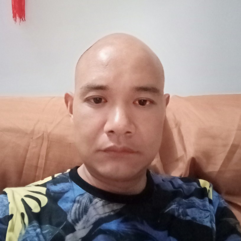 黄蜂炙热的照片