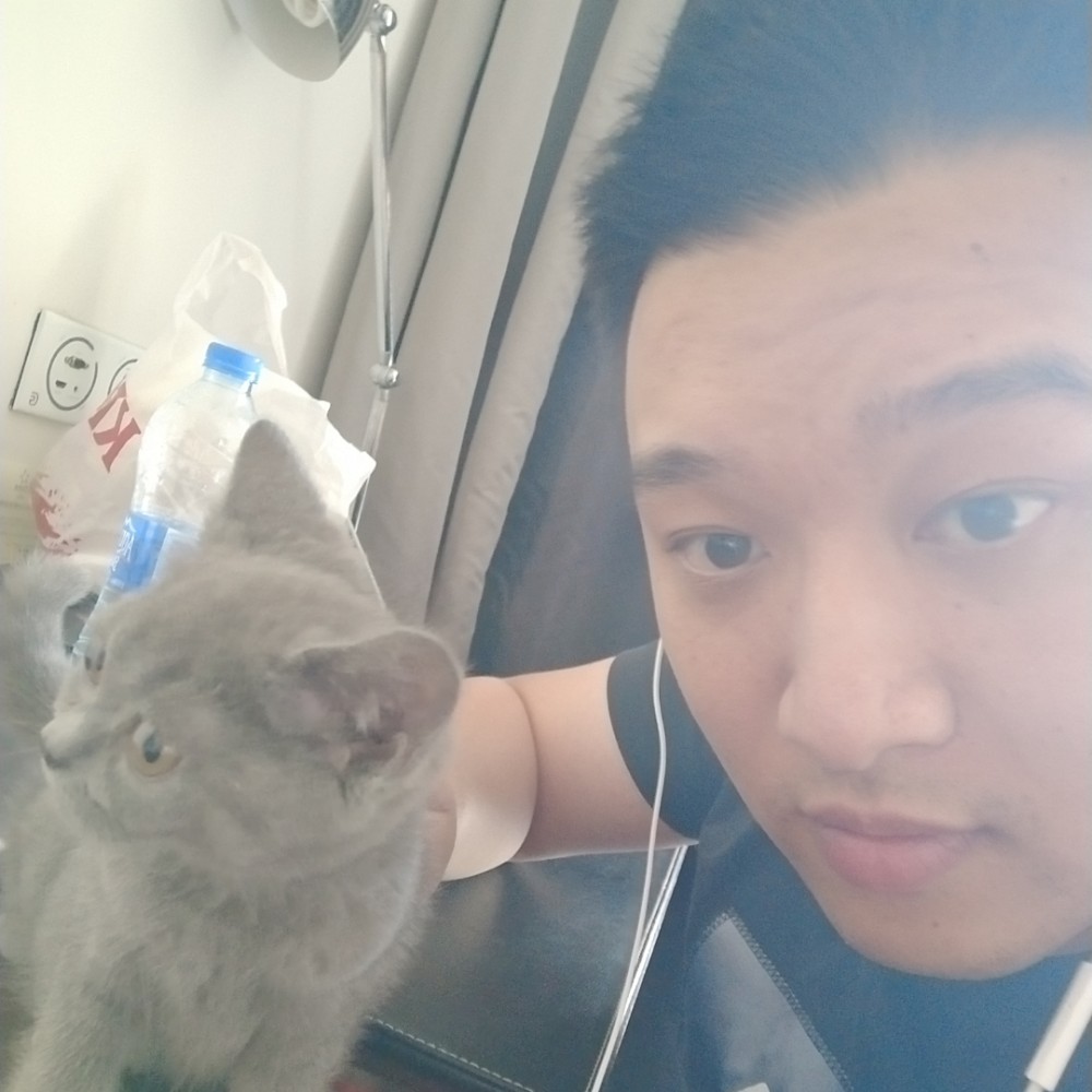 鳗鱼魔镜的照片