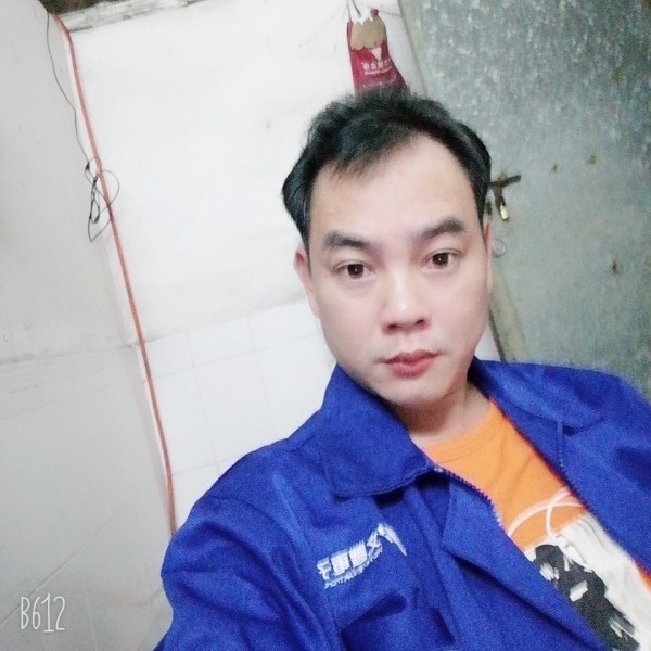 小天鹅甜美的照片
