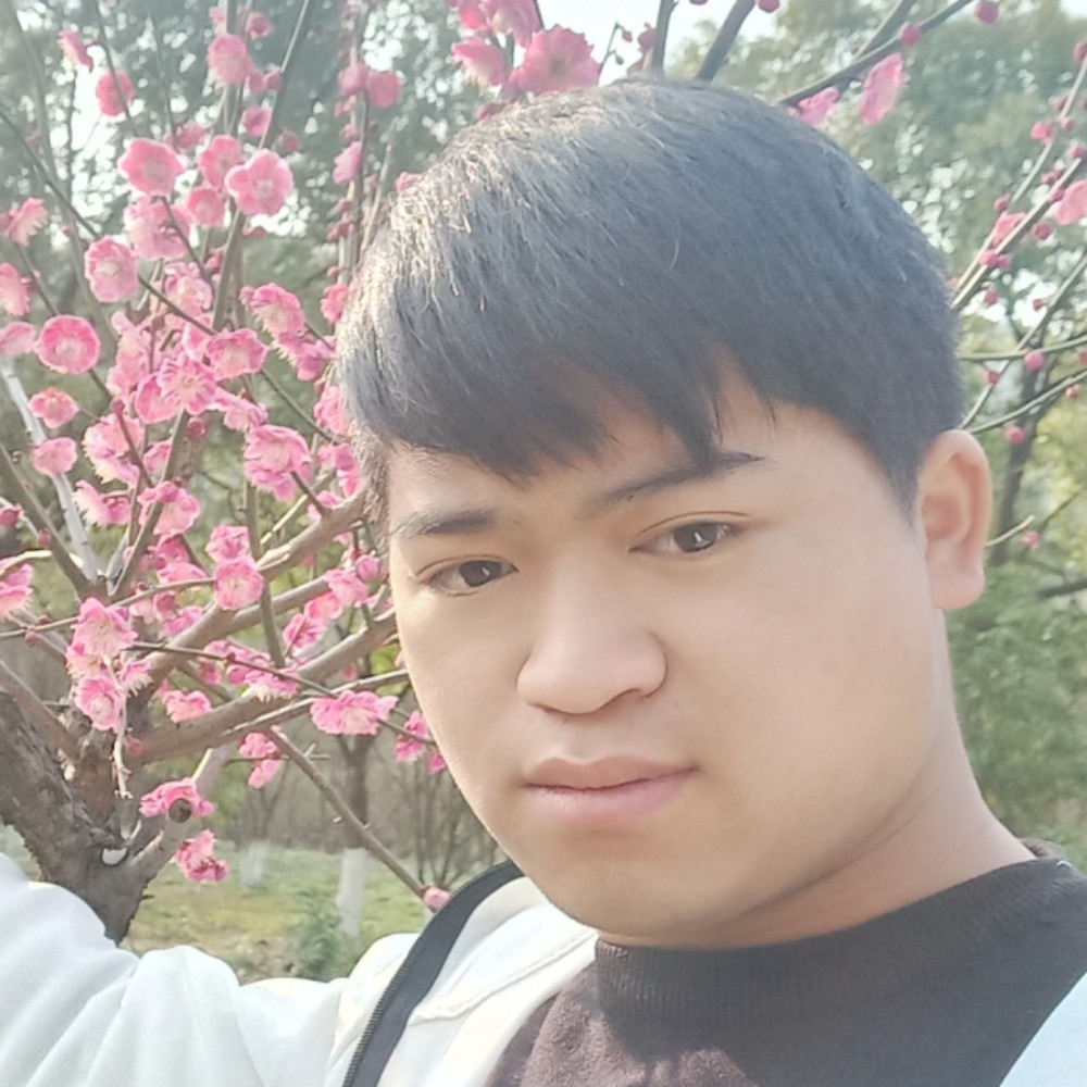 黎明前的希望的照片