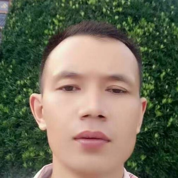乌冬面請背后的照片