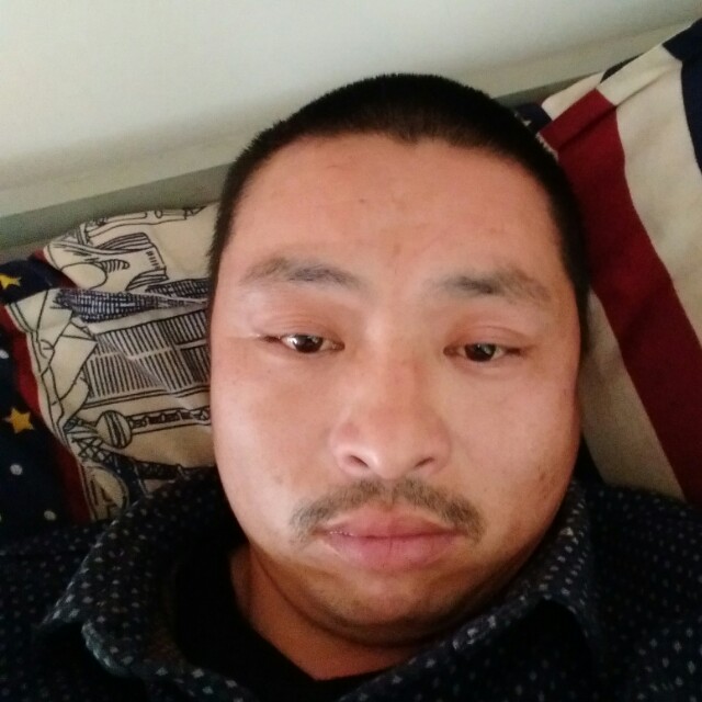 柔弱小鸽子的照片