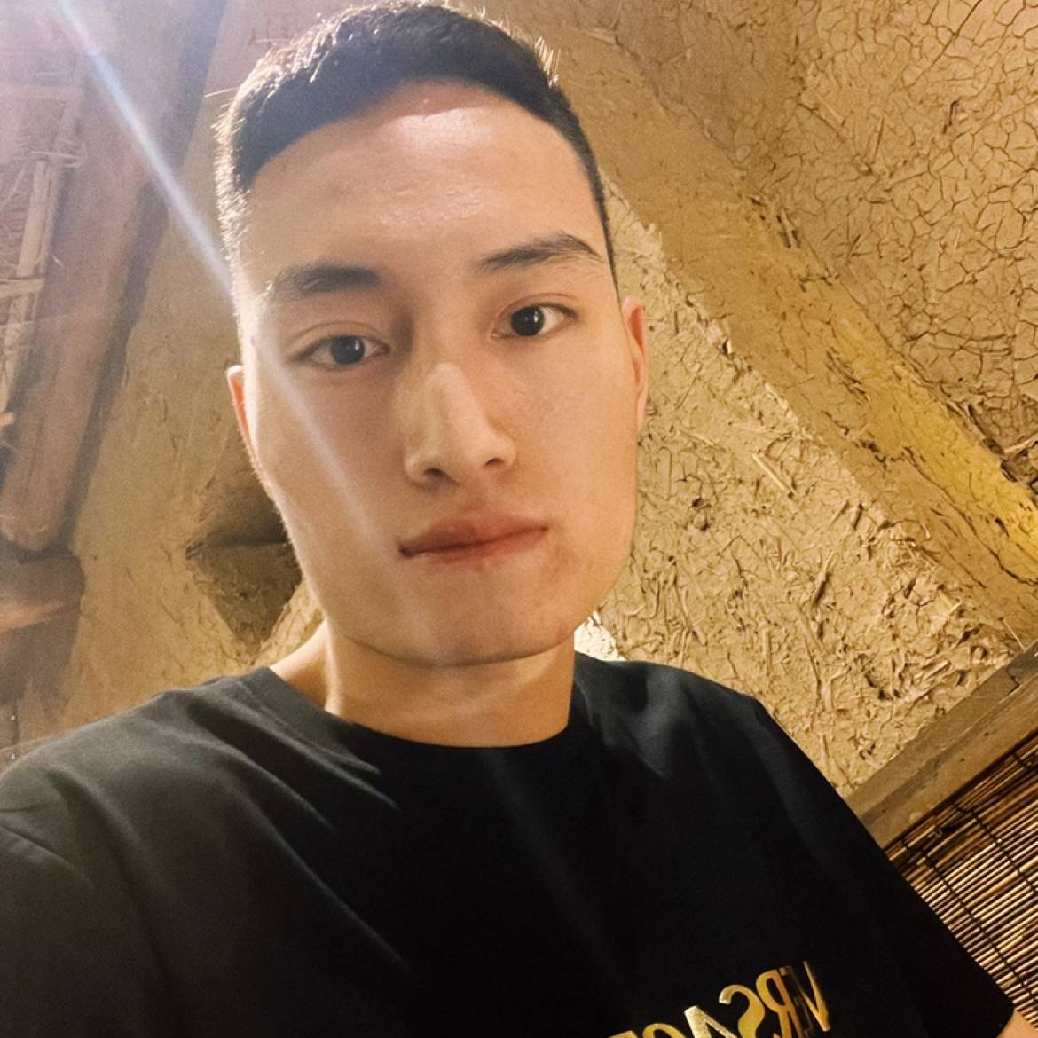 一木迎风的照片