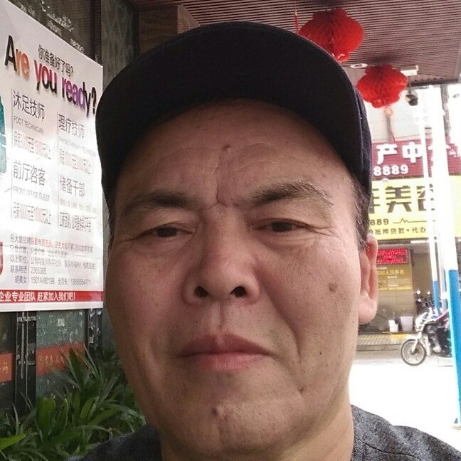 欣喜白猫的照片
