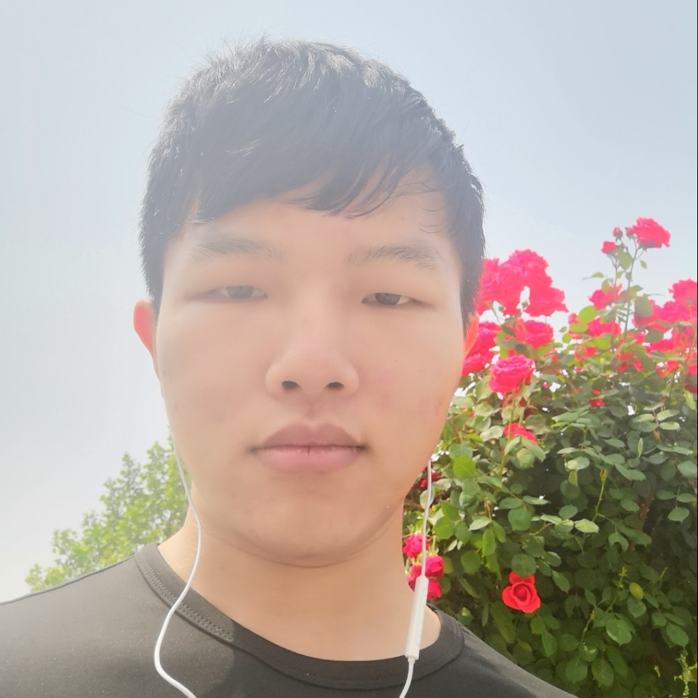 阳光的时候的照片